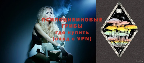 гидра Майский