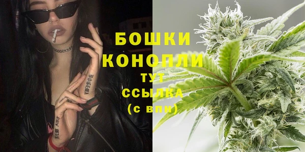 дживик Магас