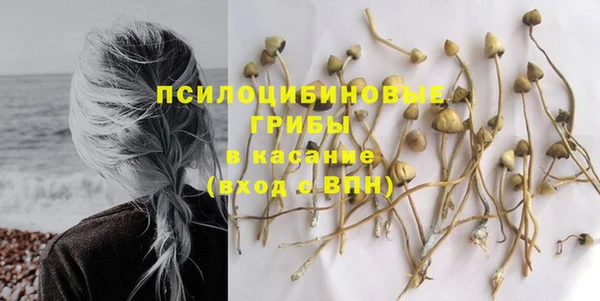 спайс Чегем