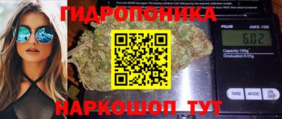 ешки Жуковский