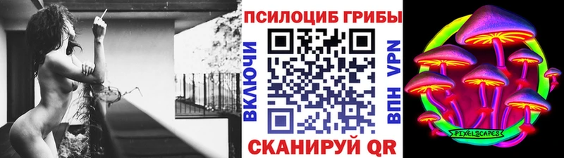 Псилоцибиновые грибы прущие грибы  omg tor  Мурино 