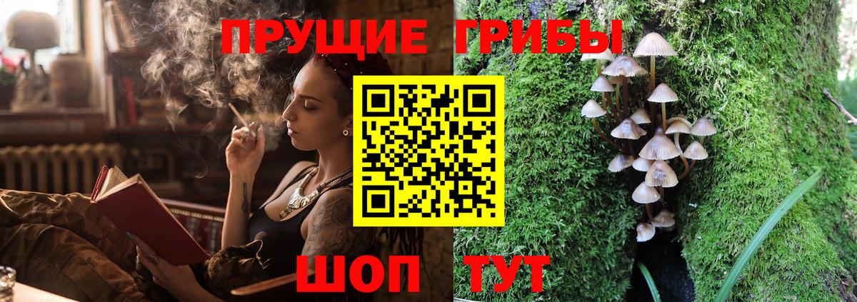 Галлюциногенные грибы Magic Shrooms  Мурино  наркотики  Псилоцибиновые грибы Psilocybe 