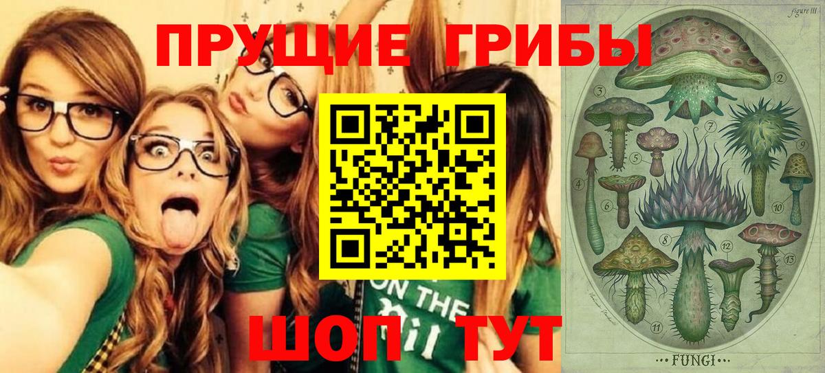 Мурино  где купить наркоту  Вход с VPN  Псилоцибиновые грибы мицелий  Галлюциногенные грибы прущие грибы 
