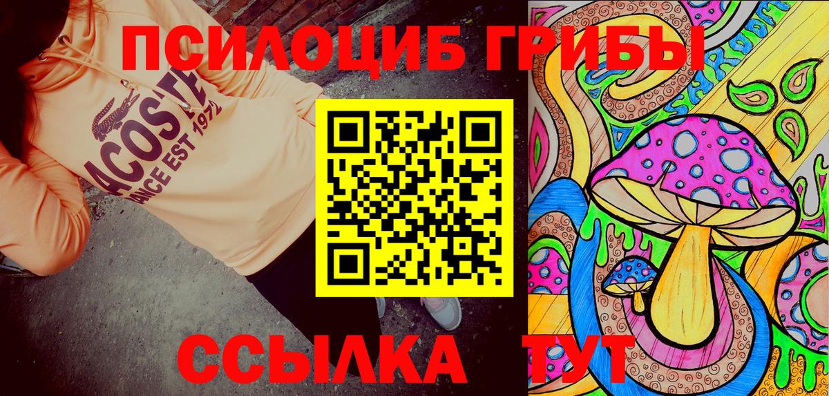 Галлюциногенные грибы Psilocybine cubensis Мурино
