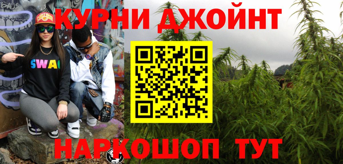 Марихуана сатива Мурино